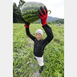 「寿風土ファーム」の小林栄一さんと「戦水甘（せんすいかん）」シリーズのラグビーボールのようなスイカ（提供写真）