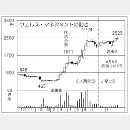 ウェルス・マネジメント（Ｃ）日刊ゲンダイ
