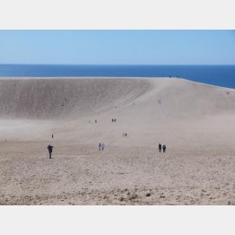 そそり立つ「馬の背」（Ｃ）日刊ゲンダイ