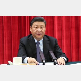 それが米中経済戦争、どう出る？（中国の習近平国家主席）　（Ｃ）新華社／共同通信イメージズ