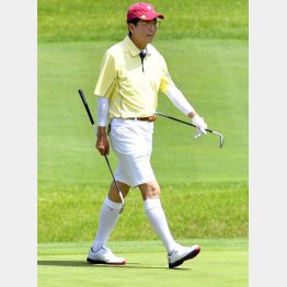 安倍首相の短パンにハイソックス姿は…（Ｃ）日刊ゲンダイ