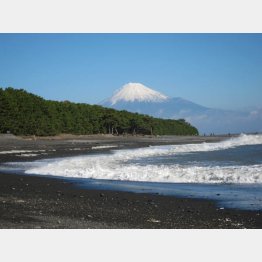 （静岡市提供）