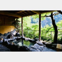 一日中いても飽きない（老神温泉「伍楼閣」）／（Ｃ）日刊ゲンダイ