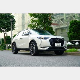 イマドキのウナギ犬デザイン（写真）小沢コージ