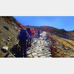 山によっては日差しが強い場合も