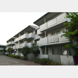 周辺相場の１割程度で住める（Ｃ）日刊ゲンダイ