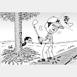 （イラスト・小山混）