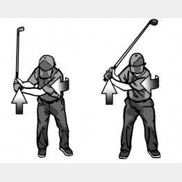 イラスト・渡辺隆司