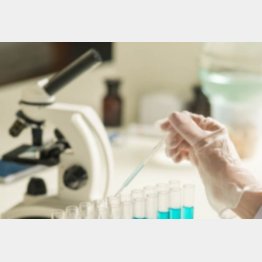 写真はイメージ