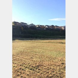 田んぼは私が住むニュータウンのそば（Ｃ）日刊ゲンダイ