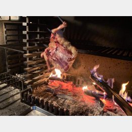 （Ｃ）日刊ゲンダイ