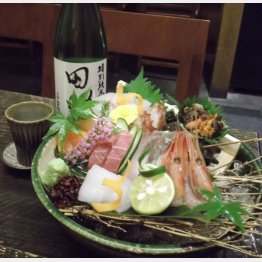 自慢の刺盛（Ｃ）日刊ゲンダイ