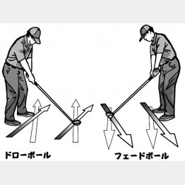 イラスト・渡辺隆司