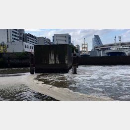 帯状に伸びる泡はトイレットペーパーのカス（提供写真）