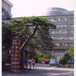 新潟大医学部も人気（2001年撮）／（Ｃ）共同通信社
