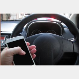 写真はイメージ