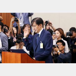 顔を見ない日はない（Ｃ）聯合＝共同