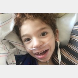 （ノア君を支援するＧｏＦｕｎｄＭｅから）