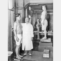 徴兵検査（1931＝昭和6＝年4月16日、東京・牛込区役所＝日本電報通信社撮影）