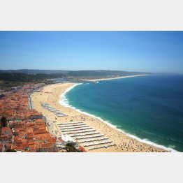 ポルトガル・ナザレの白砂のビーチ（提供）たかのてるこ