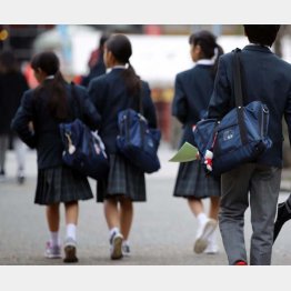 情報を集めて良い学校を見極める（写真はイメージ）／（Ｃ）日刊ゲンダイ