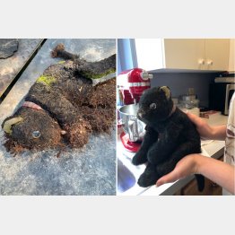 （スーザンさんのフェイスブックから）