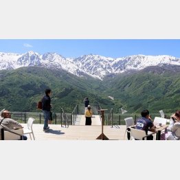 標高1289メートルの山頂にあるテラス「HAKUBA MOUNTAIN HARBOR」／（提供写真）