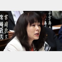 国民の分断を煽っている（杉田水脈衆院議員）／（Ｃ）日刊ゲンダイ