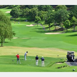 写真はイメージ