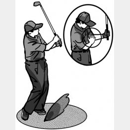 （イラスト・渡辺隆司）