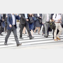 ８カ月連続マイナス（Ｃ）日刊ゲンダイ