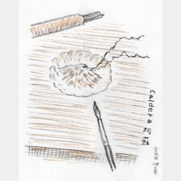 （画・牧野伊三夫）