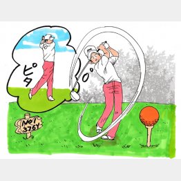 イラスト・たかぎしひろや