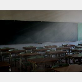 （写真はイメージ）