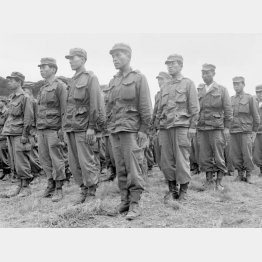 久里浜訓練所で整列する警察予備隊の隊員たち（Ｃ）共同通信社