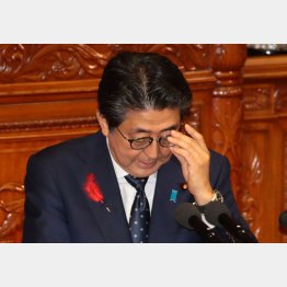 ７日、衆院本会議で答弁する安倍首相（Ｃ）日刊ゲンダイ