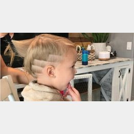 （ＦＯＸニュースのフェイスブックから）