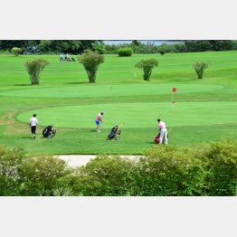 写真はイメージ