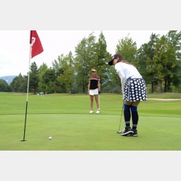 写真はイメージ