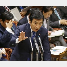 シドロモドロ（菅原経産相）／（Ｃ）日刊ゲンダイ