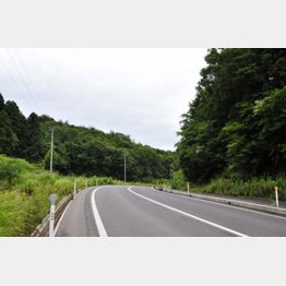 東京から約9時間（高田尾峠=島根県）／（提供写真）