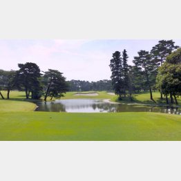 五輪会場の霞が関カンツリー倶楽部（Ｃ）日刊ゲンダイ