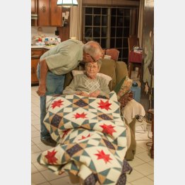 （「29:Eleven Photography」のフェイスブックから）