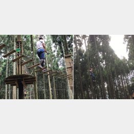 「フォレストアドベンチャー・丹波ささやま」のオススメ「ジップスライド」（右）／（Ｃ）日刊ゲンダイ