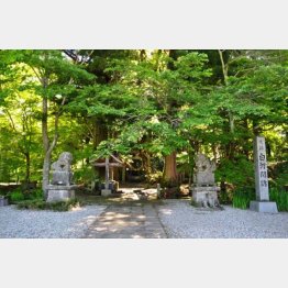 奥州の入り口。白河の関跡と白河神社（提供写真）