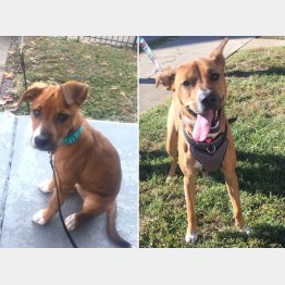 （ケイトさんのツイッターから）