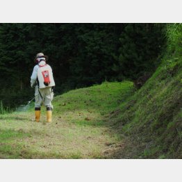 （写真はイメージ）