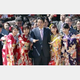 「党員拡大」に利用したのか（2019年度の安倍首相主催の「桜を見る会」）／（Ｃ）日刊ゲンダイ