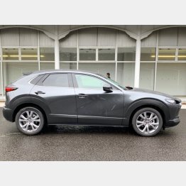 サイドの深くて繊細な彫りは彫刻のようだ（写真）小沢コージ