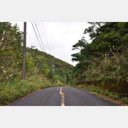 ごく普通の山道のよう（地頭峠）／（提供写真）